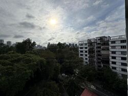 Botanic Gardens View (D10), Apartment #460422741